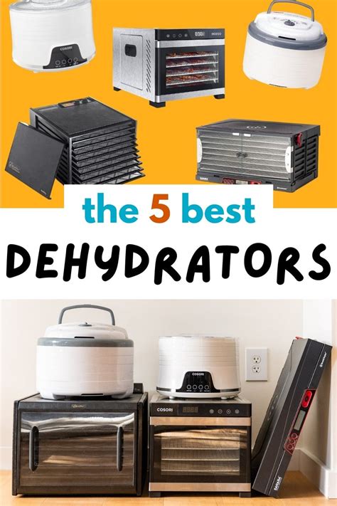 The 5 Best Food Dehydrators for 2023 - swedbank.nl