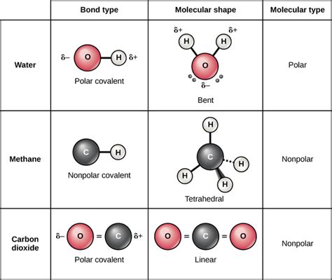 Chemical Bonds | Boundless Anatomy and Physiology