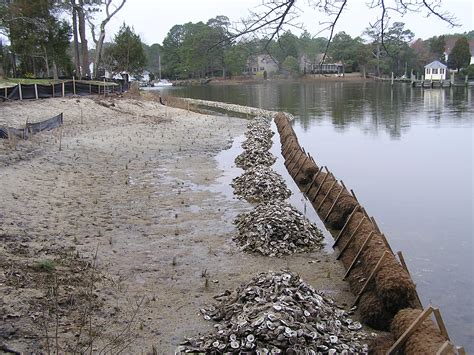 Living Shorelines