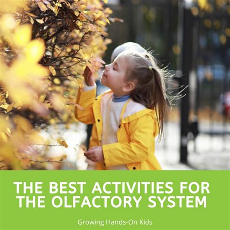 The Best Activities for the Olfactory System - Growing Hands-On Kids