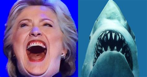 Hillary Shark Blank Template - Imgflip