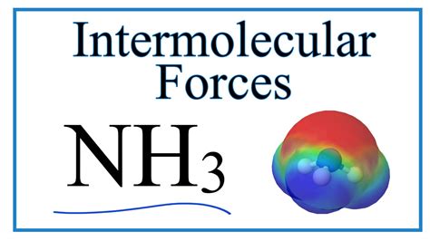 Ammonia Intermolecular Forces