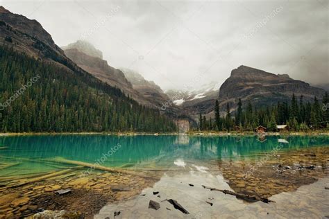 Yoho National Park — Stock Photo © rabbit75_dep #119670492