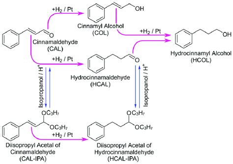 Scheme 1. The main reaction routes and side reactions during the ...