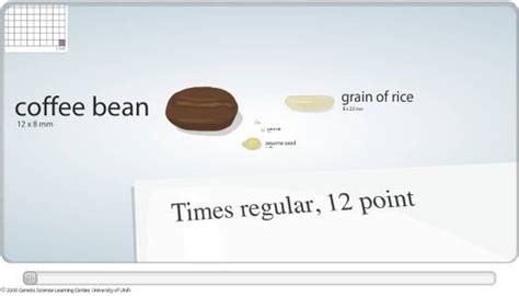 Cell Size and Scale - Neatorama