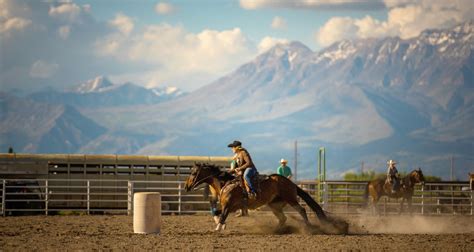 Rodeo Events 101: Exploring the History and Rules of Barrel Racing