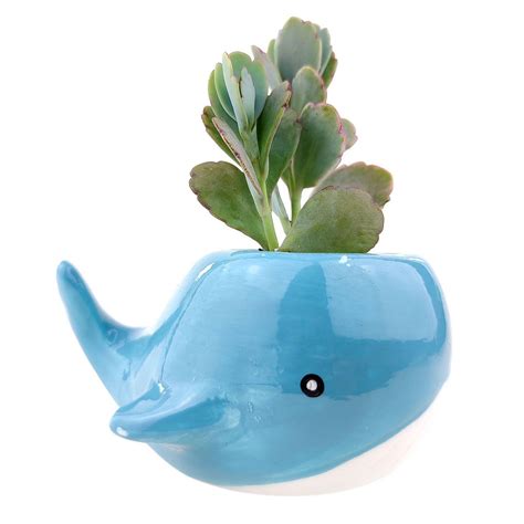 Whale Pot | Mini Animal Pot for Succulents, Cacti and Flowers | Ceramic ...