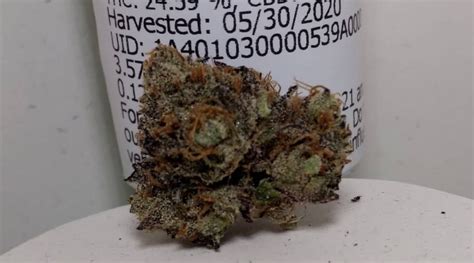 Strain Review: Gelato #33 by Nelson and Company Organics - The Highest ...