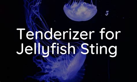 Tenderizer for Jellyfish Sting - Does It Work? Cafe Smokers