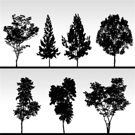 Tree Silhouette. 340797 Vector Art at Vecteezy