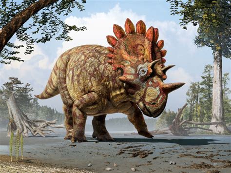 A Quick Guide About 12 Horned Dinosaurs (Not Triceratops) (2023)