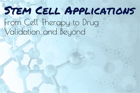 Stem Cell Applications - From Cell Therapy to Drug Development and Beyond