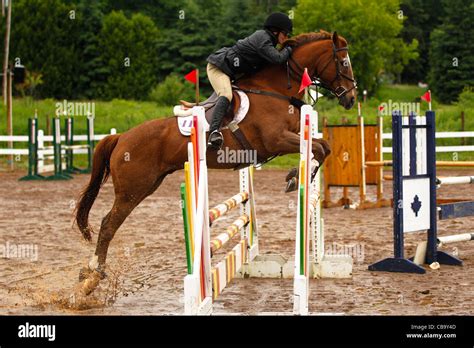 Chestnut horse jumping fence Stock Photo - Alamy