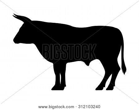 Black Silhouette Bull Vector & Photo (Free Trial) | Bigstock