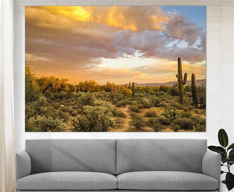 Arizona Desert Canvas Print Sonoran Desert Arizona Wall Art | Etsy