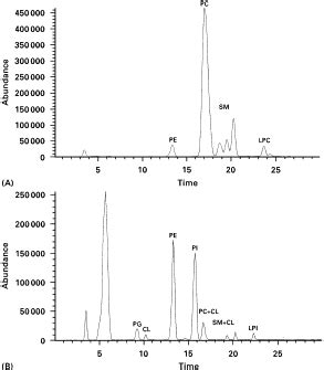 Normal Phase Chromatography Resins - CD Bioparticles