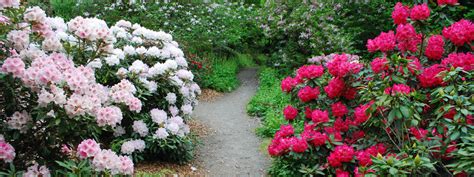 Washington Park Arboretum | A Unique Experience in Seattle