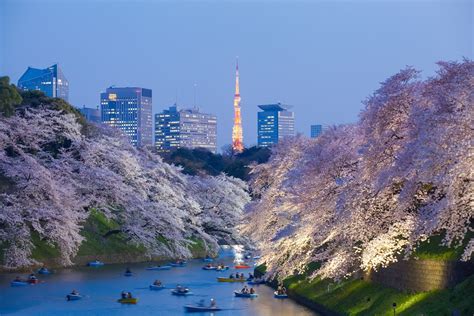 Visit Tokyo's Imperial Palace and Garden