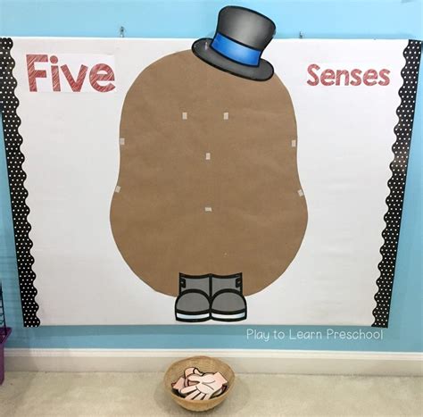 Five Senses Bulletin Board - Play to Learn