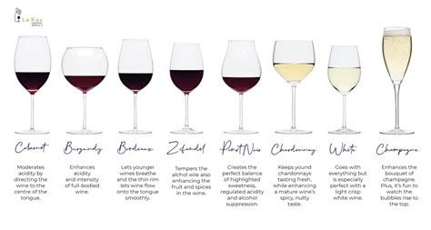 How the Right Wine Glass Shape Will Benefit Your Favourite Wine - La Kav Wines