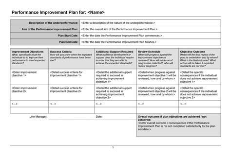 Performance Action Plan Template | PDF Template