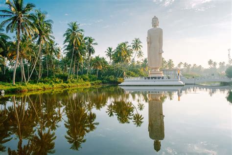 Sri Lanka set to reopen for foreign tourists from August with new ...