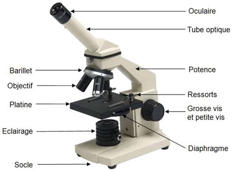 Guide d'achat : choisir le bon microscope