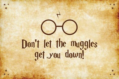 Don't let the muggles get you down! First World Muggle Problems ...