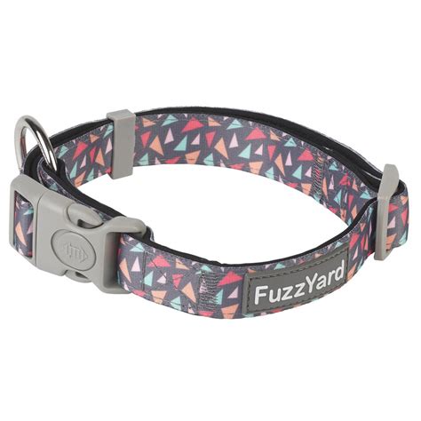 FuzzYard Rad Dog Collar