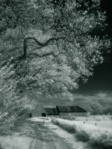 Dreamworld | Landscape recorded in infrared light | Frank van Dongen | Flickr