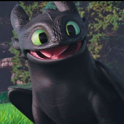 toothless | Dragon icon, How to train your dragon, How train your dragon