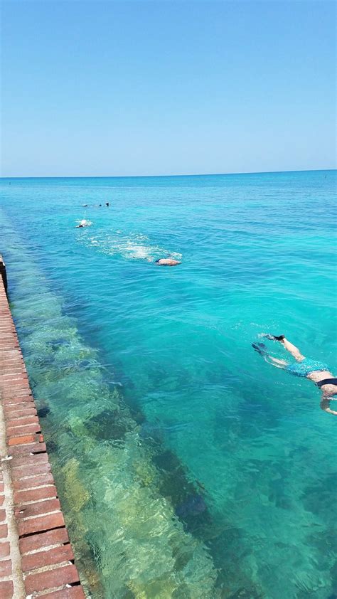 Snorkeling Dry Tortugas National Park Florida National Parks, Travel ...