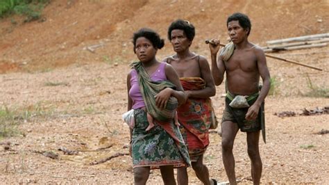 Mysterious, deadly illness plaguing one of Malaysia's last Indigenous nomadic tribes | CBC Radio