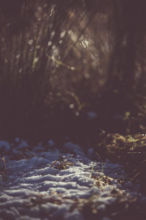 Snow On Ground · Free Stock Photo