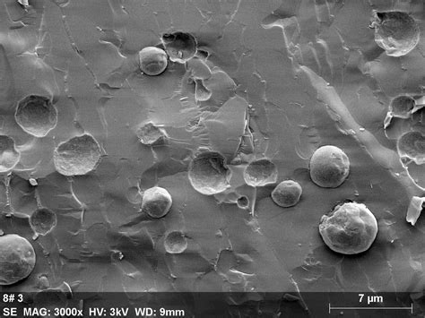 Milk Under the Magnifying Glass: Electron Microscope Shows Molecular Differences Between Dairy ...