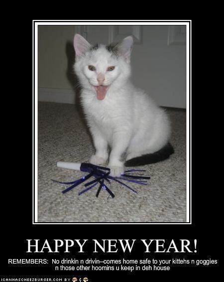 Happy New Year! - lol cats Photo (3321985) - Fanpop