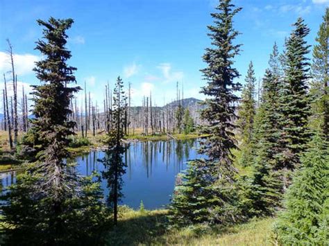 Santiam Lake from Santiam Pass – NW Horse Trails