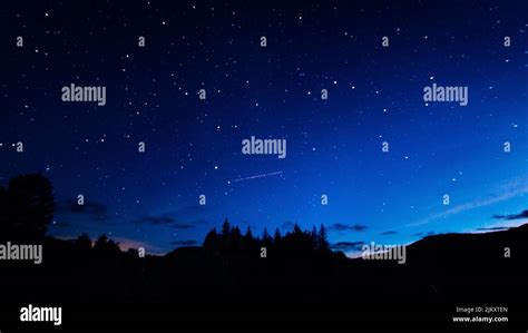 Galloway forest dark sky park. View of the night sky, stars and a satellite, with pine trees ...