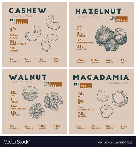 Nutrition fact of nut cashew hazelnue macadamia Vector Image