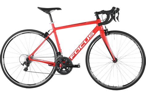 Focus Izalco Race used in 52 cm | buycycle USA