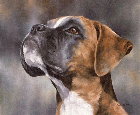 Boxer Painting Painting by Rachel Stribbling - Pixels