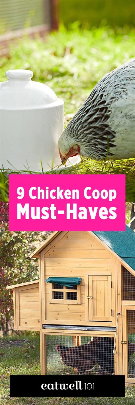 9 Best Items to Enhance Life in Your Chicken Coop — Eatwell101