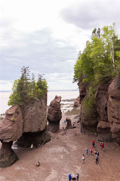 Hopewell Rocks New Brunswick | East coast road trip, East coast canada ...