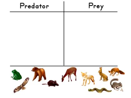 Predator And Prey Worksheets