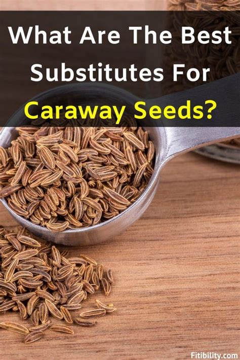 6 Best Easy-to-Find Caraway Seeds Alternatives For Your Cooking | Fitibility | Caraway seeds ...