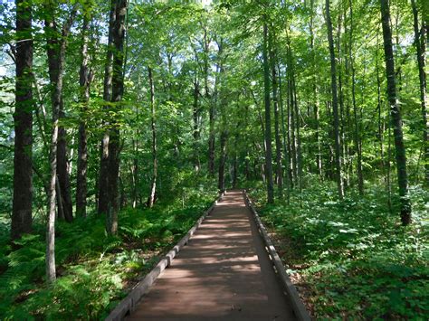 Saratoga Monument and Victory Woods | Julie Journeys