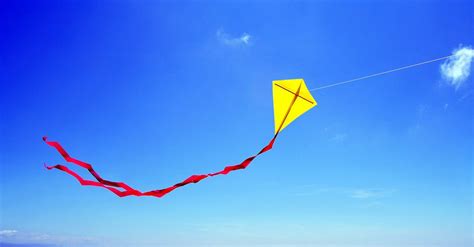 Life Is Just a Breeze When You Fly A Kite | Broadway at the Beach