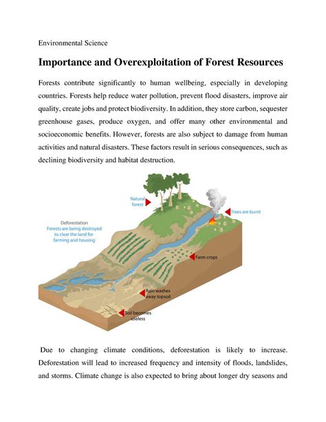 Importance and Overexploitation of Forest Resources - Environmental ...