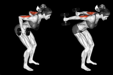 Triceps Kickbacks Exercise - Benefits, How to do? - Variations