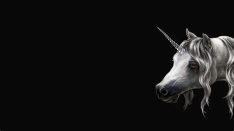 Unicorn Full HD Wallpaper and Background Image | 1920x1080 | ID:494000